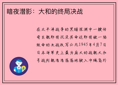 暗夜潜影:大和的终局决战 暗夜潜影:大和的终局决战